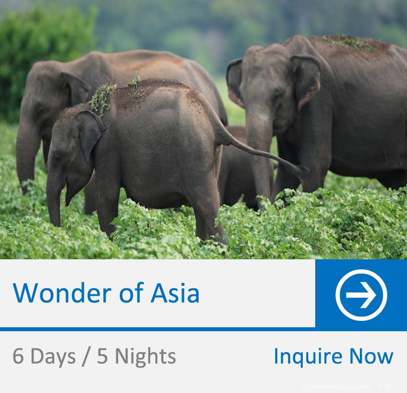 Wonder of Asia